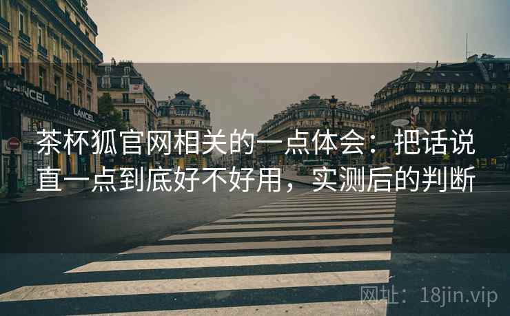 茶杯狐官网相关的一点体会：把话说直一点到底好不好用，实测后的判断