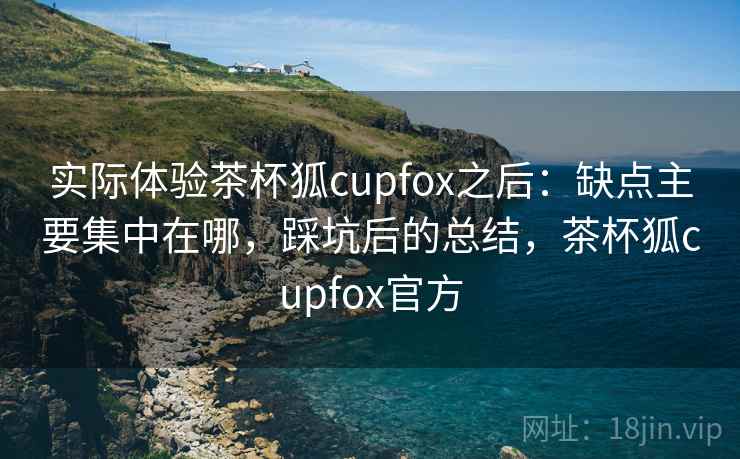 实际体验茶杯狐cupfox之后：缺点主要集中在哪，踩坑后的总结，茶杯狐cupfox官方
