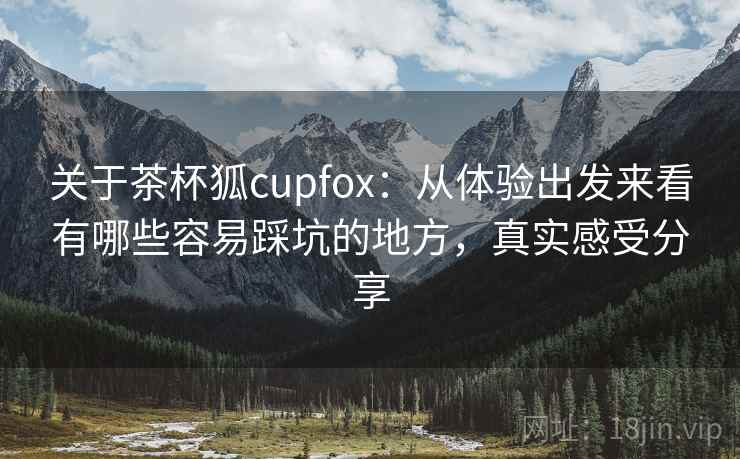 关于茶杯狐cupfox：从体验出发来看有哪些容易踩坑的地方，真实感受分享