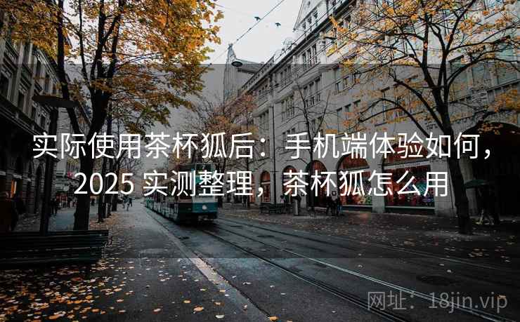 实际使用茶杯狐后：手机端体验如何，2025 实测整理，茶杯狐怎么用