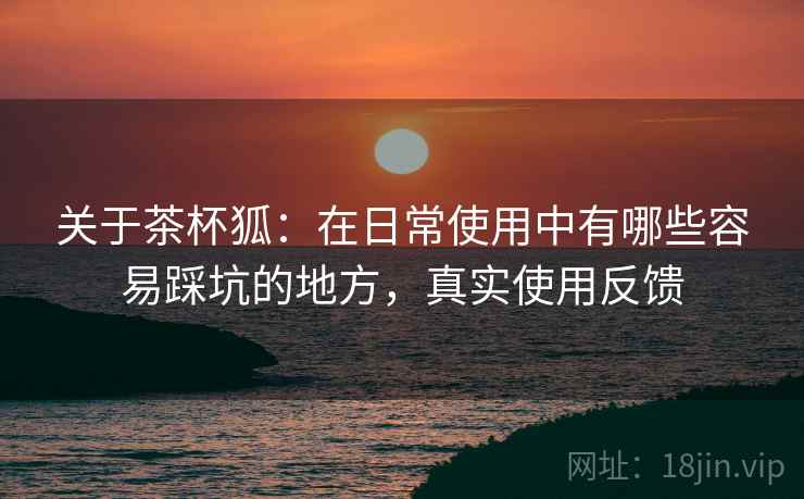 关于茶杯狐:在日常使用中有哪些容易踩坑的地方,真实使用反馈 关于茶杯狐:在日常使用中有哪些容易踩坑的地方,真实使用反馈