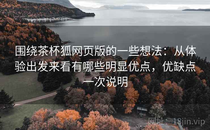 围绕茶杯狐网页版的一些想法:从体验出发来看有哪些明显优点,优缺点一次说明 围绕茶杯狐网页版的一些想法:从体验出发来看有哪些明显优点,优缺点一次说明