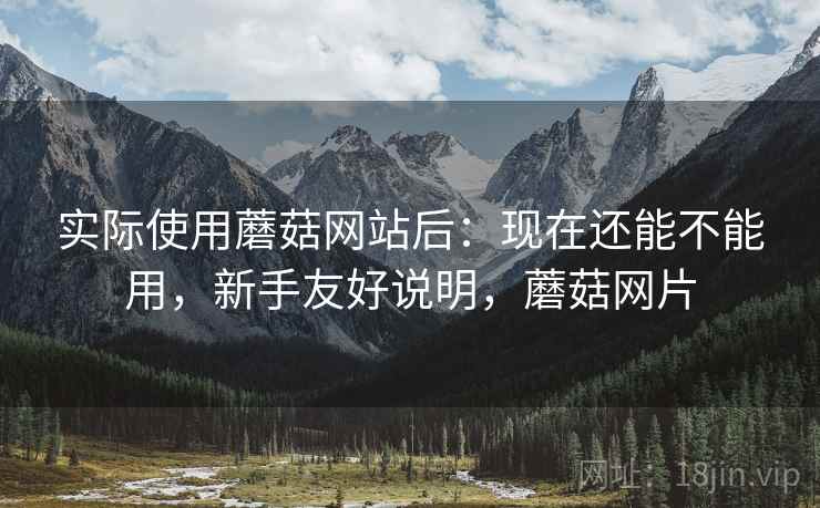 实际使用蘑菇网站后：现在还能不能用，新手友好说明，蘑菇网片